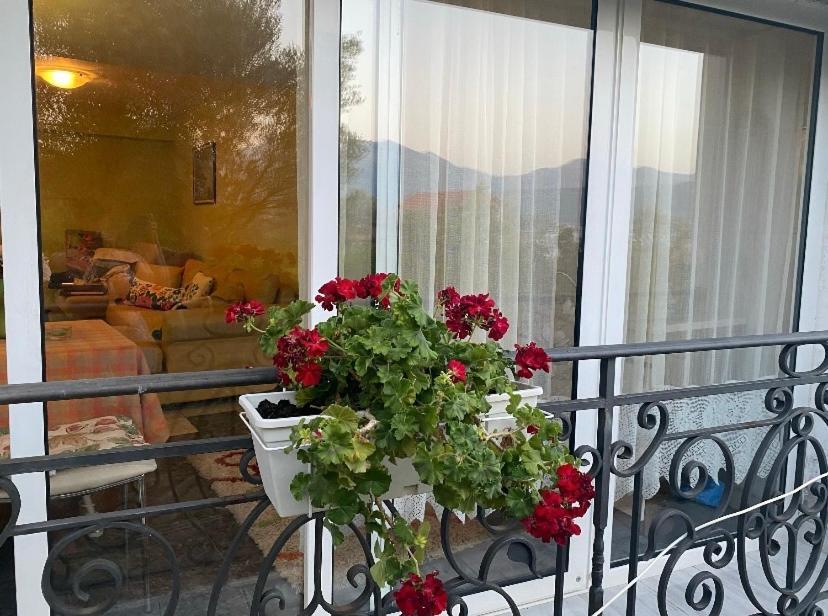 Villa Mare Apartments Тиват Екстер'єр фото