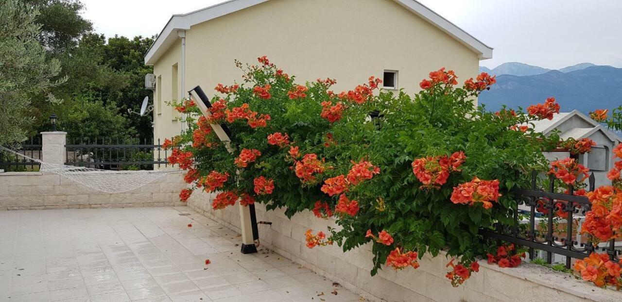 Villa Mare Apartments Тиват Екстер'єр фото